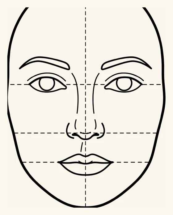 Dibujo del rostro humano con las proporciones de la cara